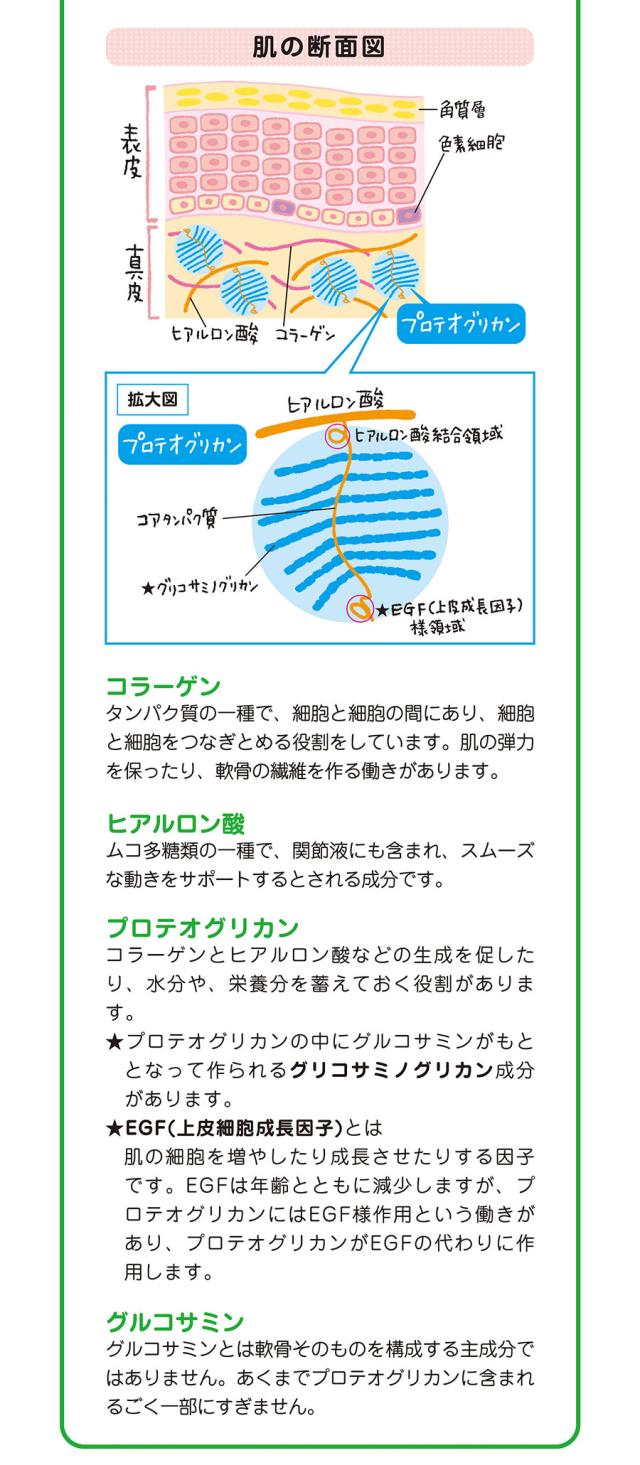 ジョイントファインプラス