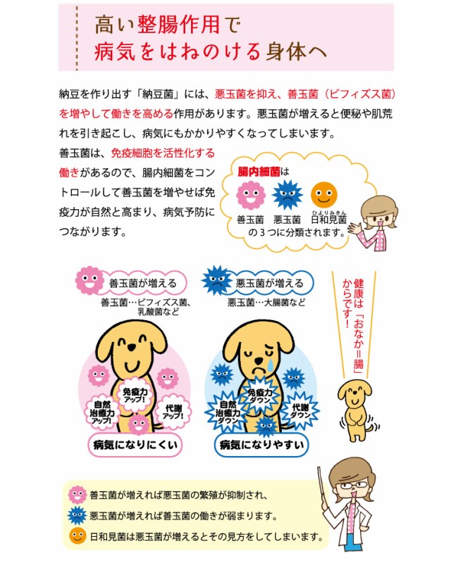 がんこおやじのおやつ亭　フリーズドライ極納豆　高い成長作用で病気をはねのける身体へ