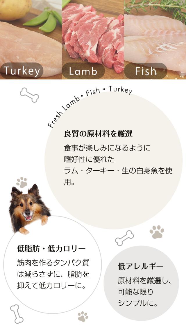 ローテーションセット