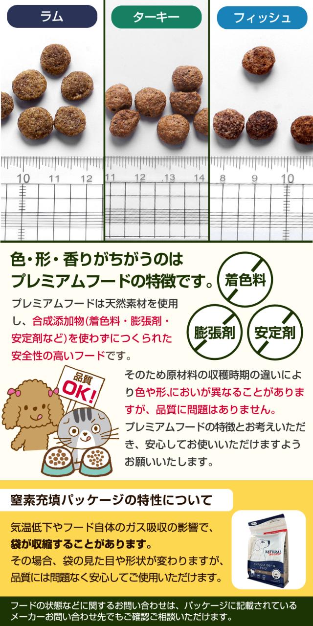 粒画像