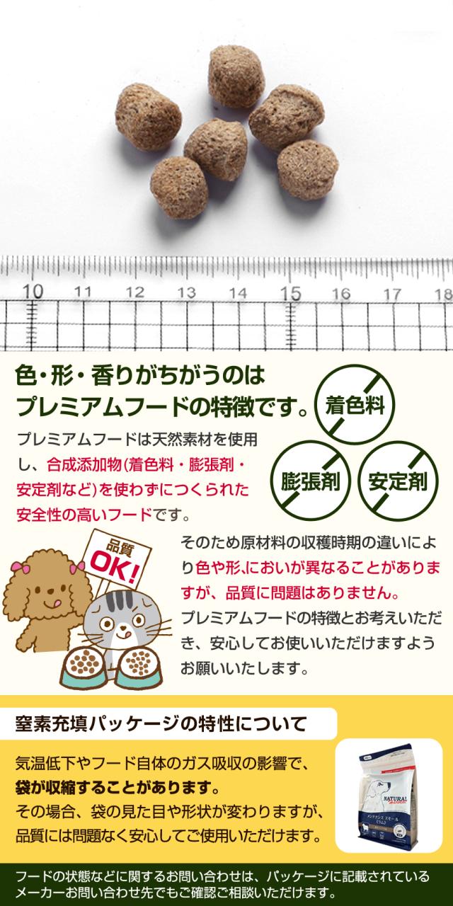 粒画像