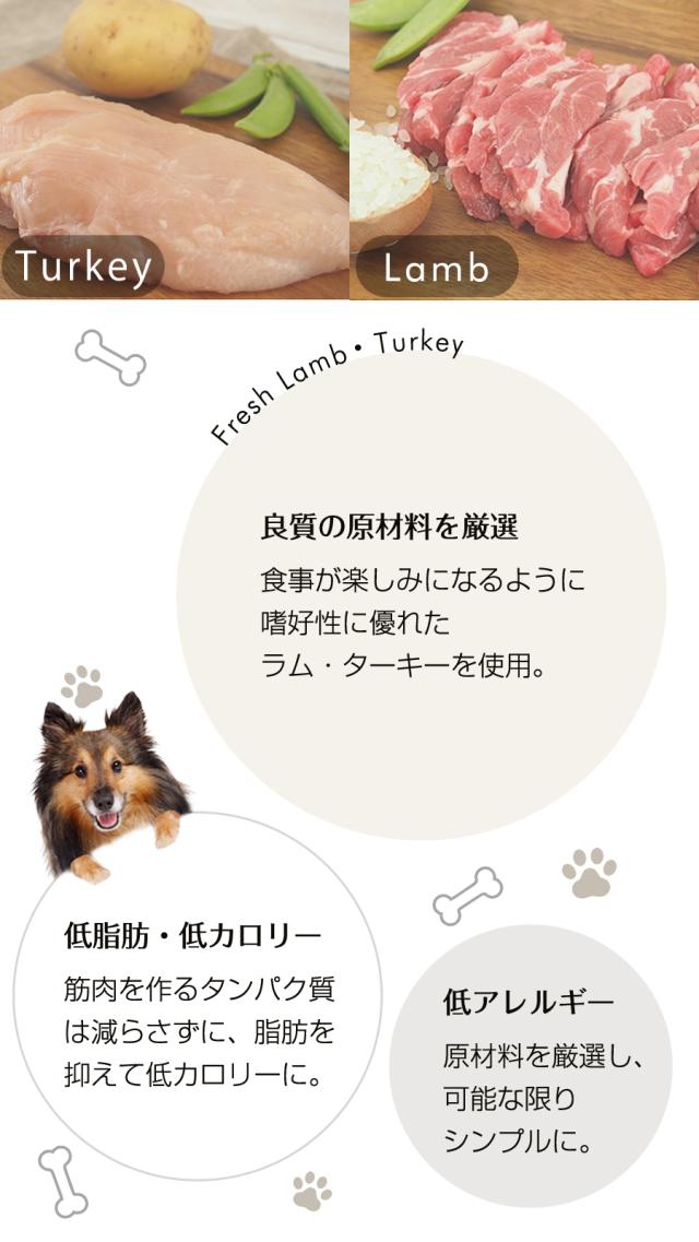 ローテーションセット