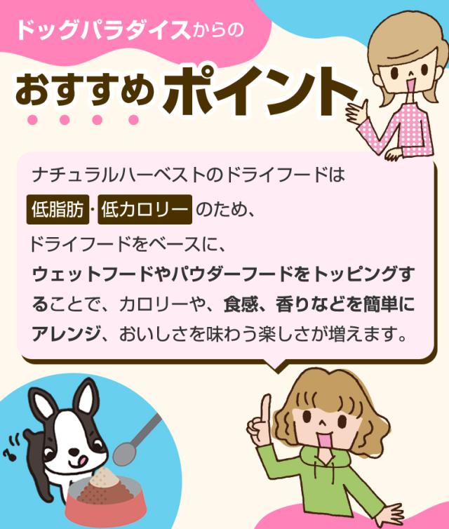 おすすめポイント