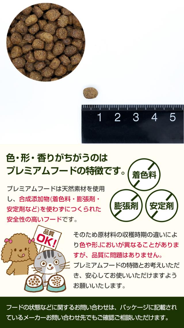 粒