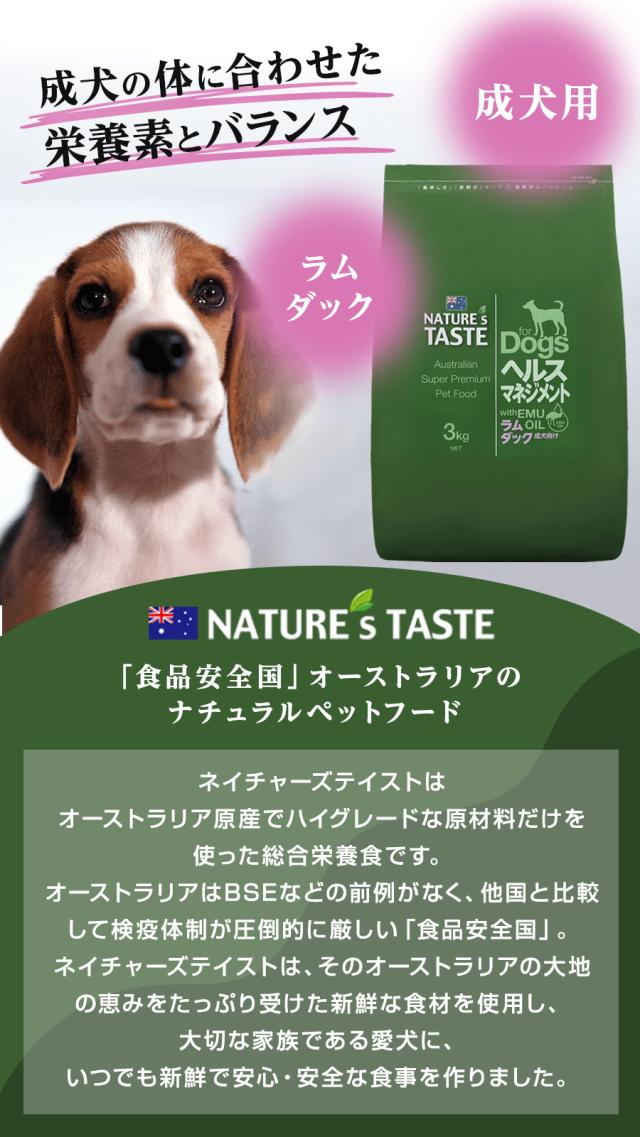 ヘルスマネジメント
