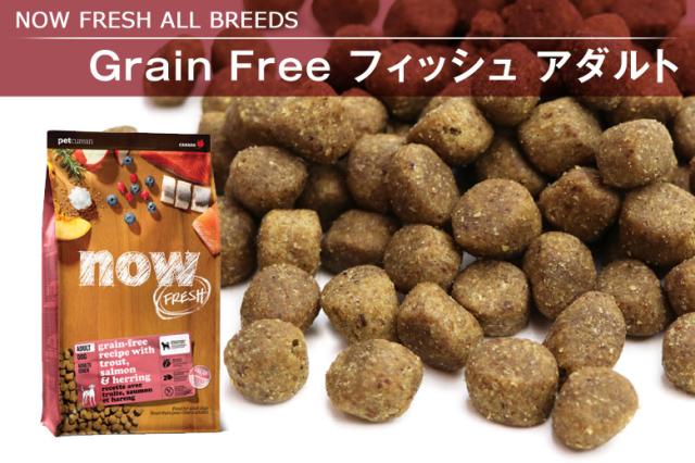 NOW FRESH ナウ フレッシュ フィッシュアダルト