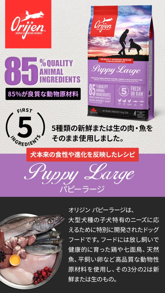 パピーラージ