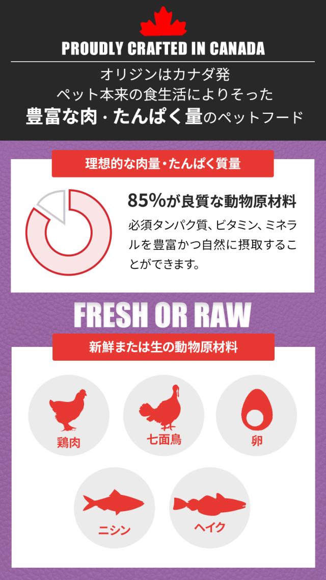 パピーラージ