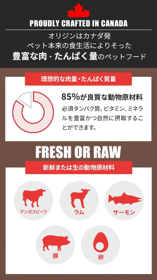 レジオナルドッグ