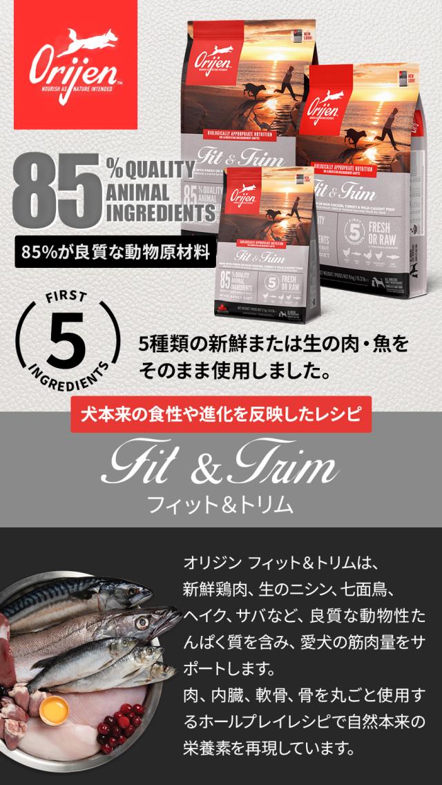 フィット＆トリム
