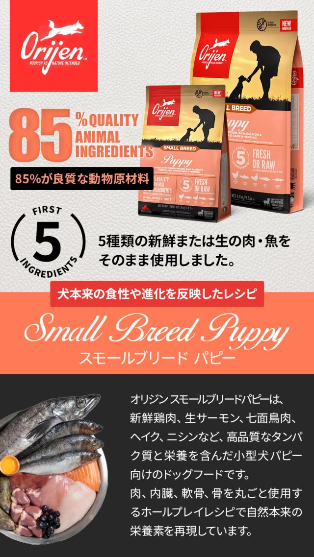 スモールブリード　パピー