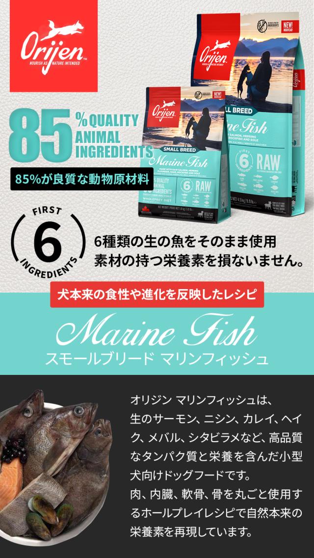 スモールブリード マリンフィッシュ