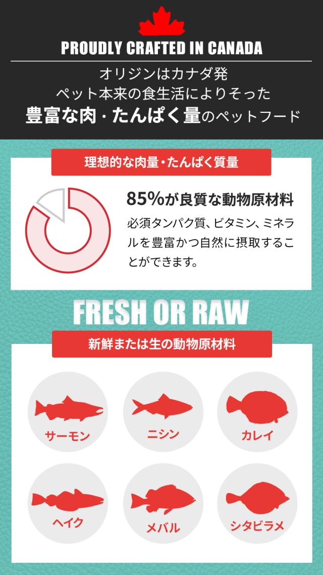 スモールブリード マリンフィッシュ