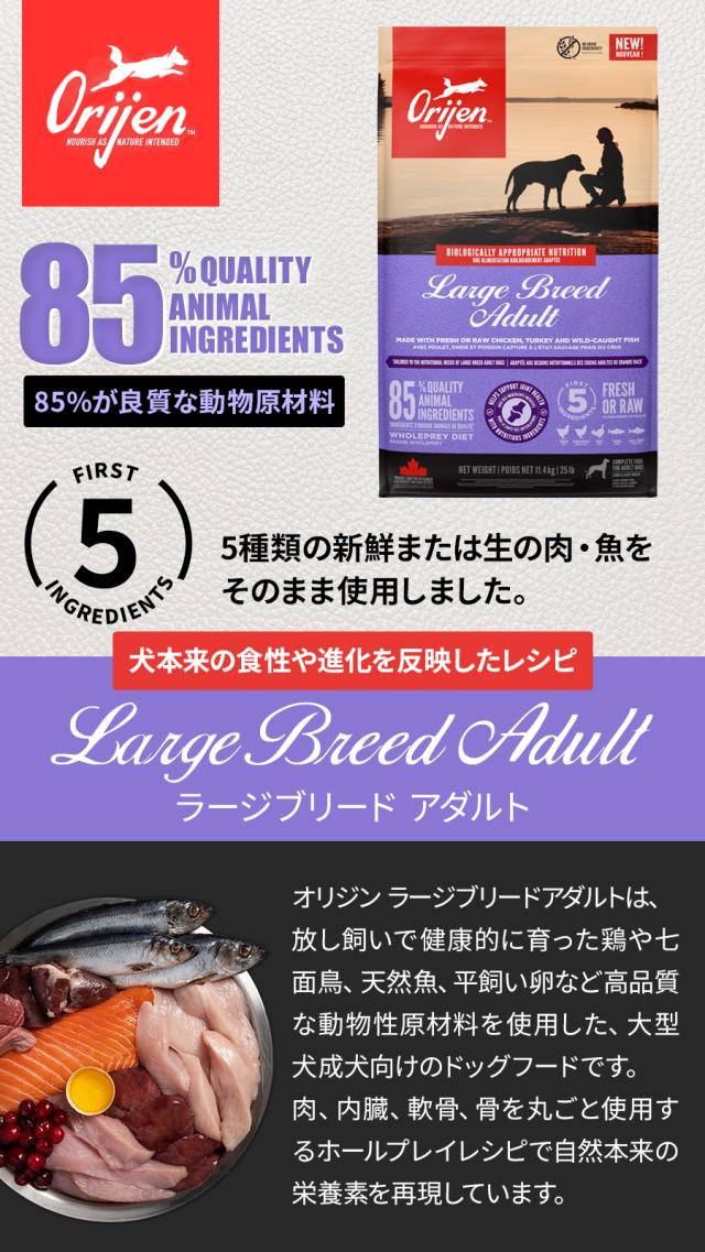 ラージブリードアダルト