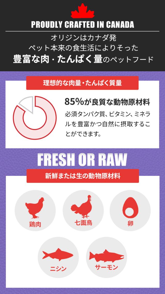ラージブリードアダルト