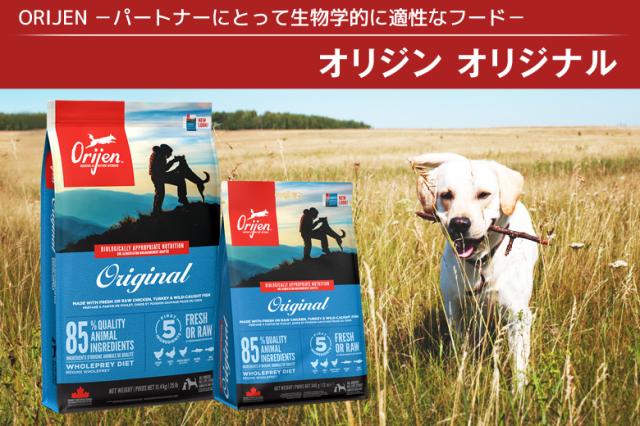 オリジン　オリジナル