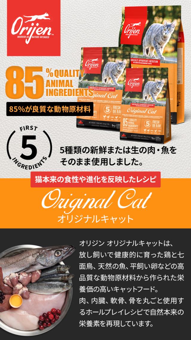 オリジナル キャット