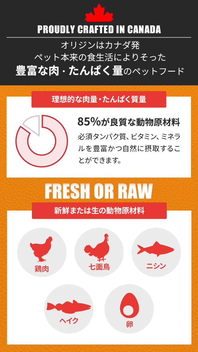 オリジナル キャット