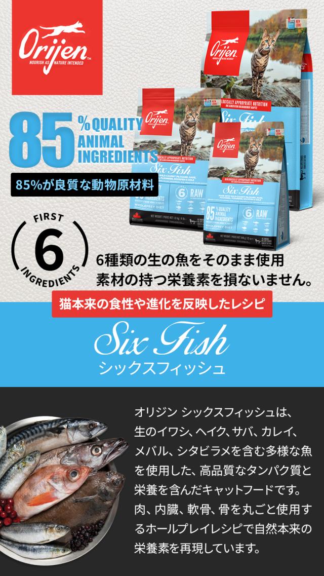 シックスフィッシュ　キャット