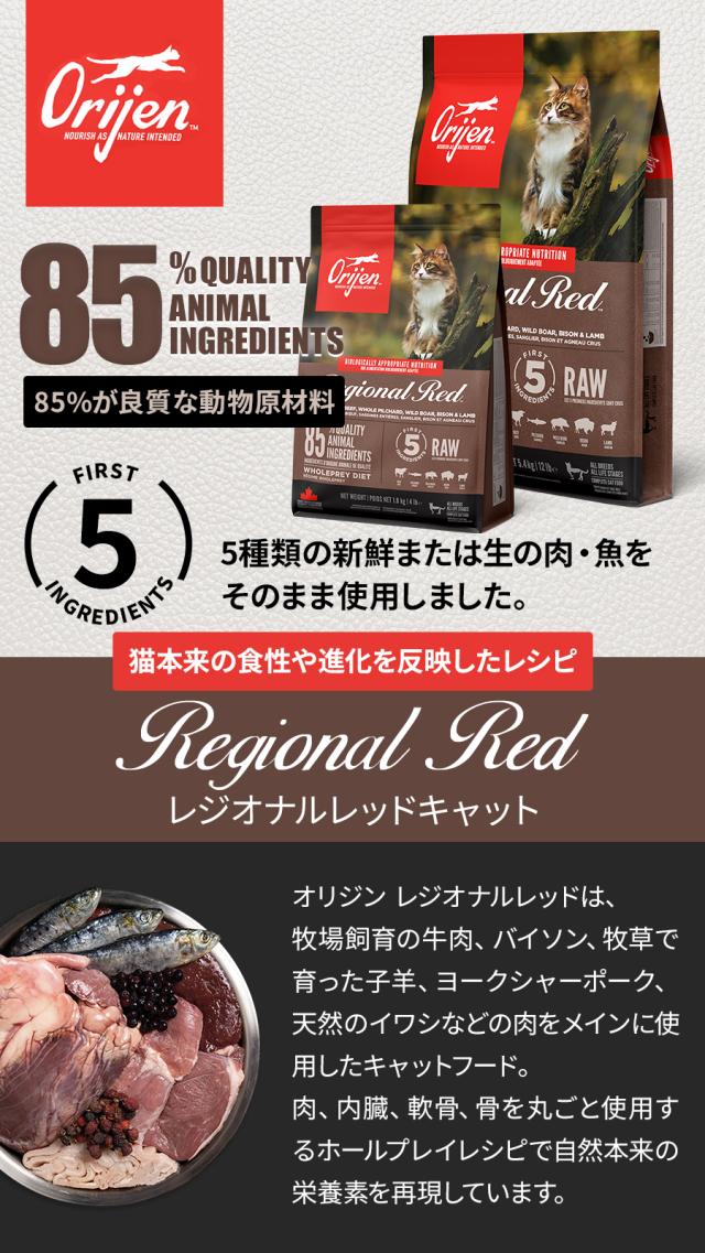 レジオナル　キャット