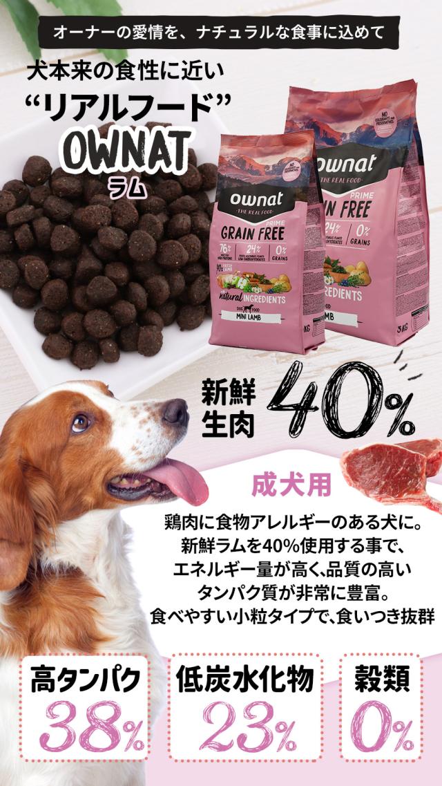 オーナット ドッグ グレインフリー プライム 小粒 ラム