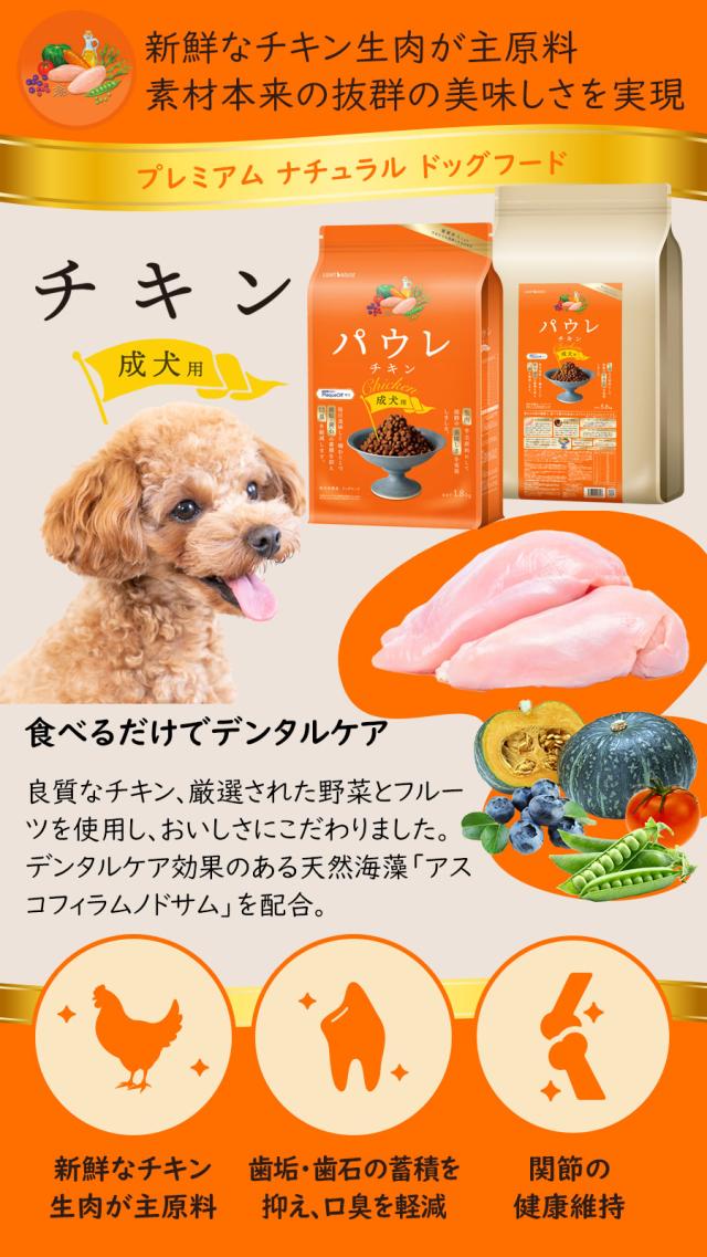 パウレ　チキン　成犬用