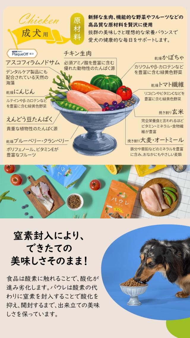 パウレ　チキン　成犬用
