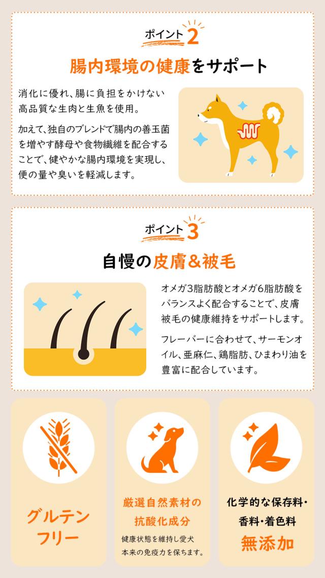 パウレ ポイント2、ポイント3