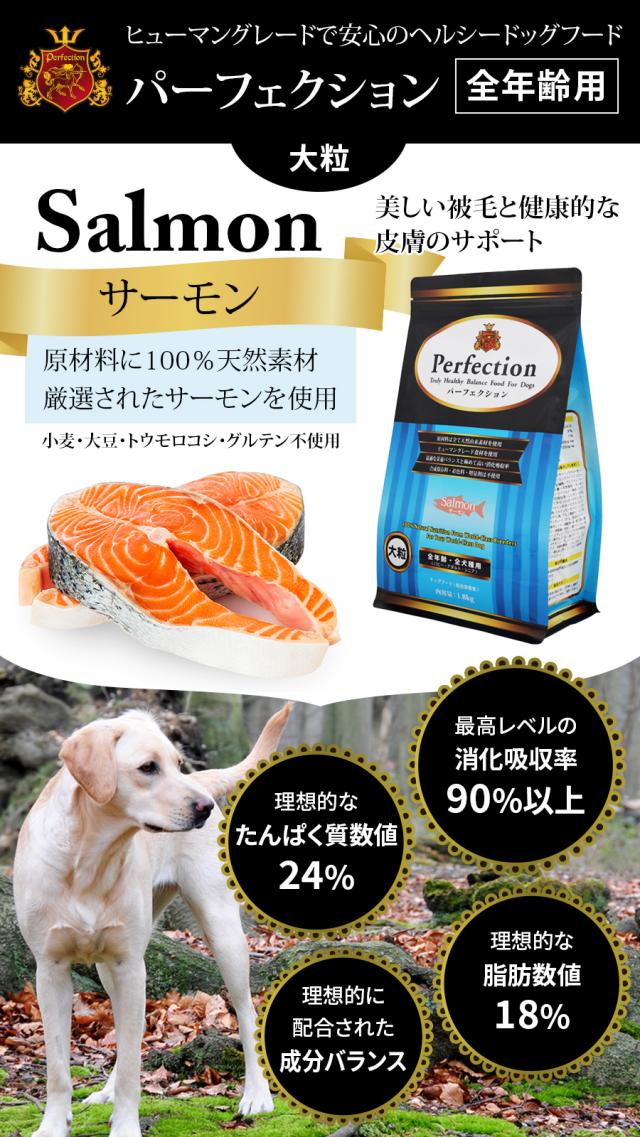 パーフェクション サーモン大粒