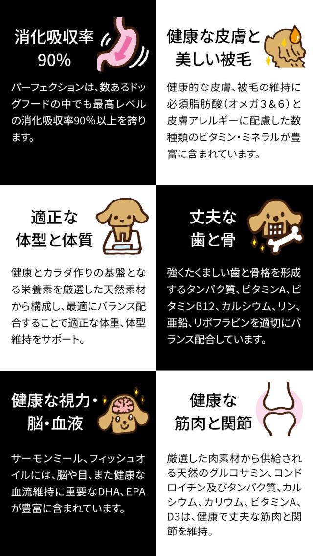 パーフェクション