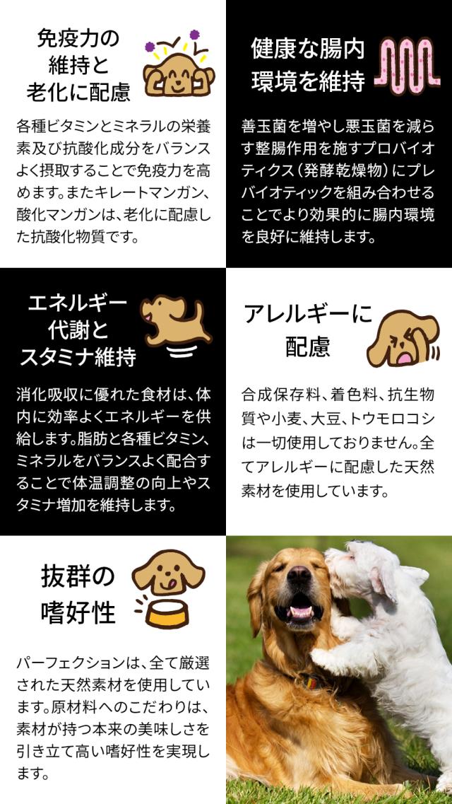 パーフェクション