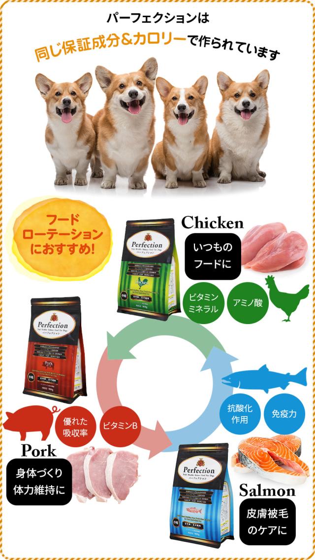 パーフェクション ローテーション