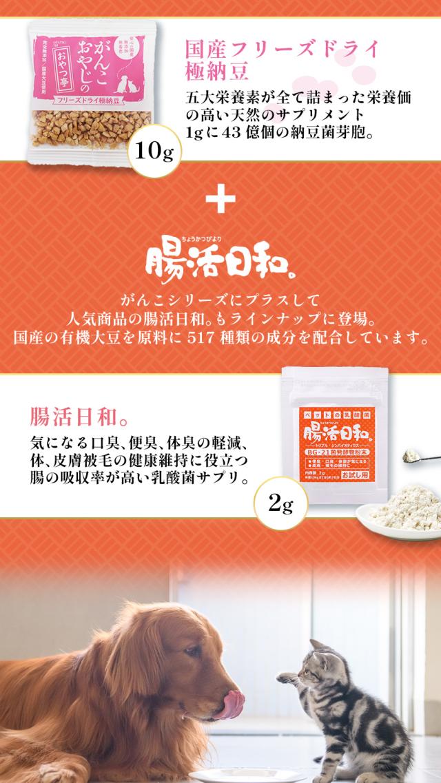 がんこ腸活日和お試しセット