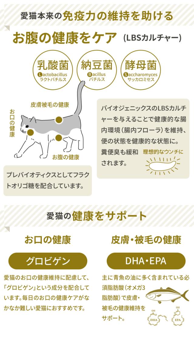 プロフェッショナルバランス