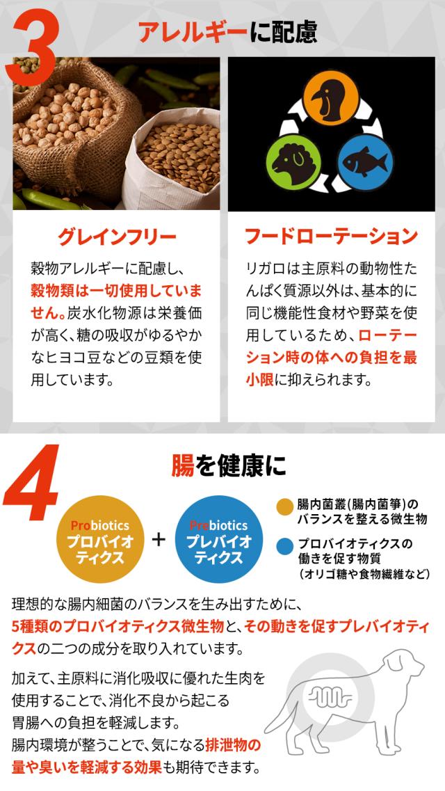 リガロ