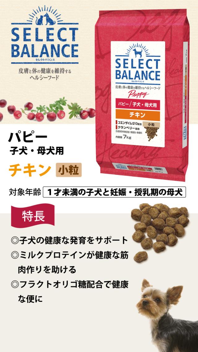 セレクトバランスパピー