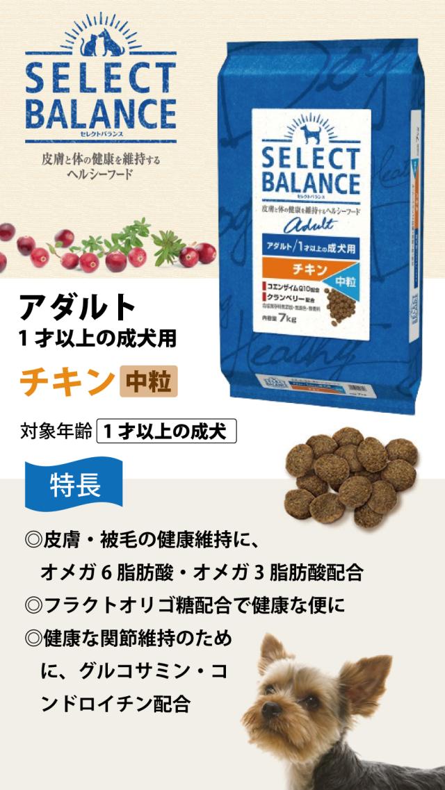 セレクトバランス　アダルトチキン