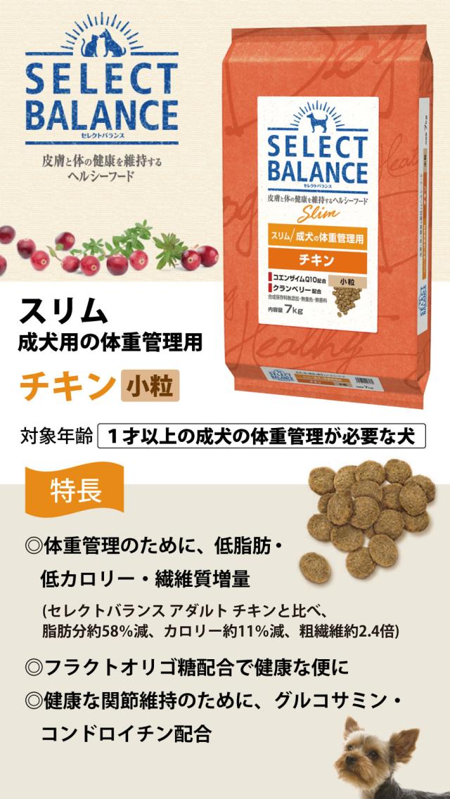 セレクトバランス　スリムチキン