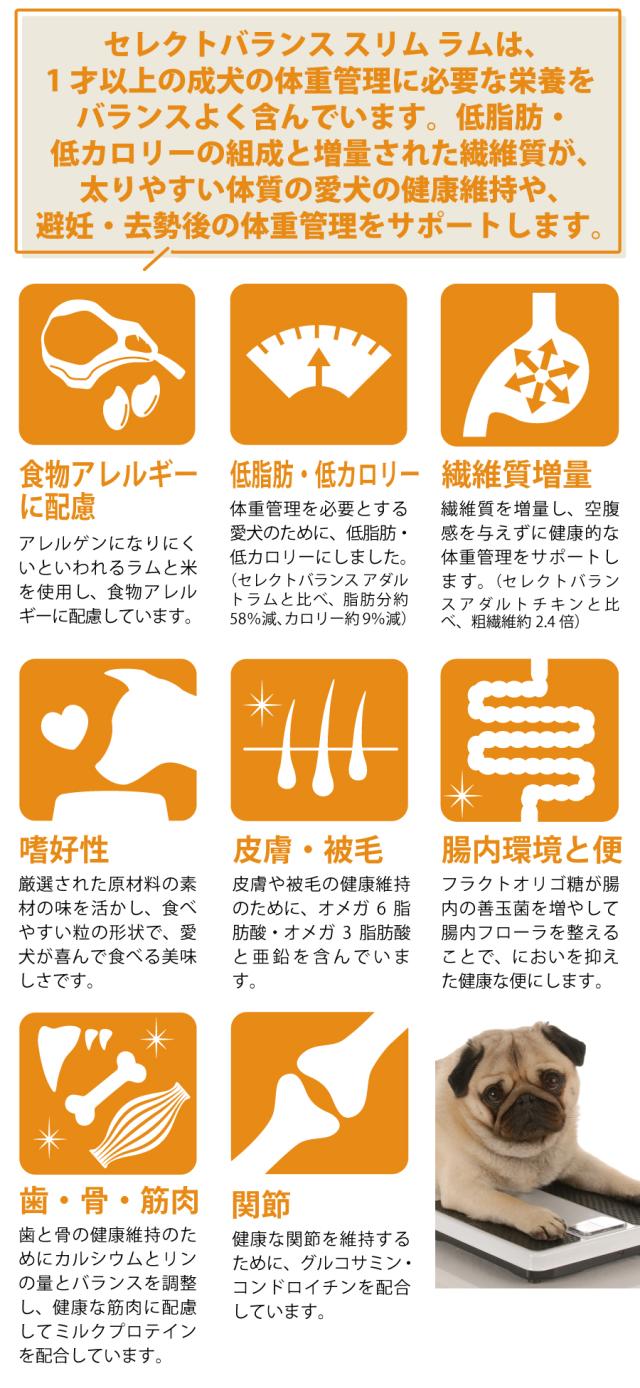 セレクトバランス