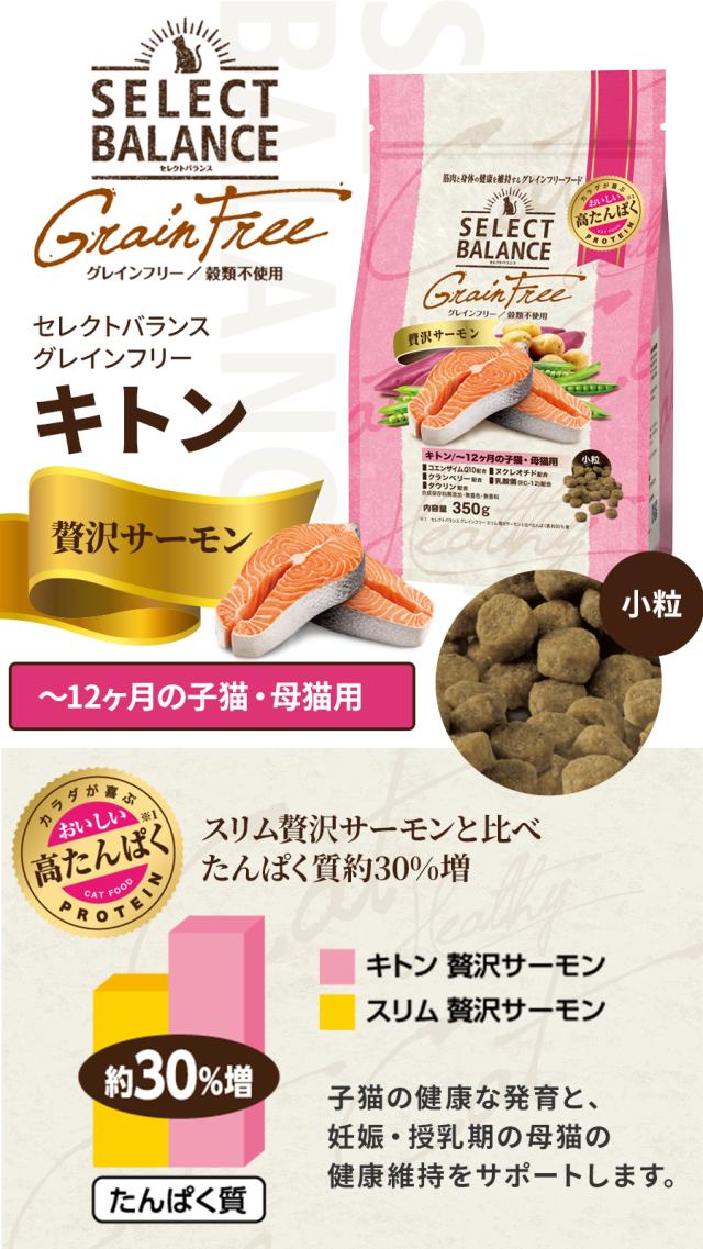 キトン 贅沢サーモン