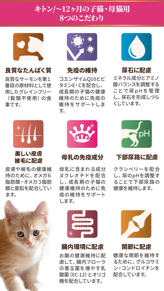 キトン 贅沢サーモン