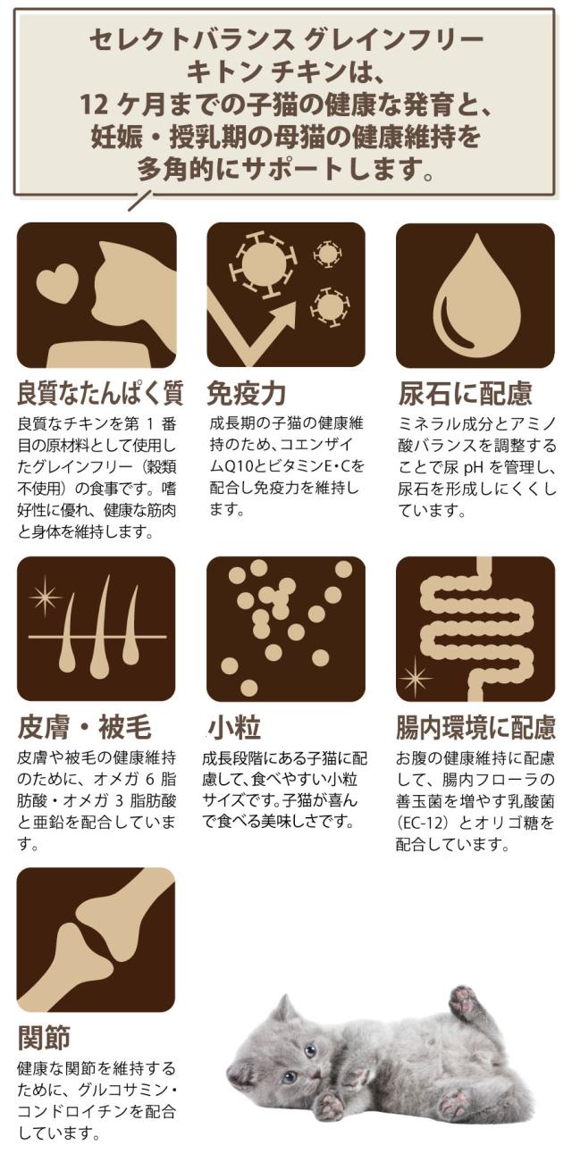セレクトバランス キャット キトン チキン