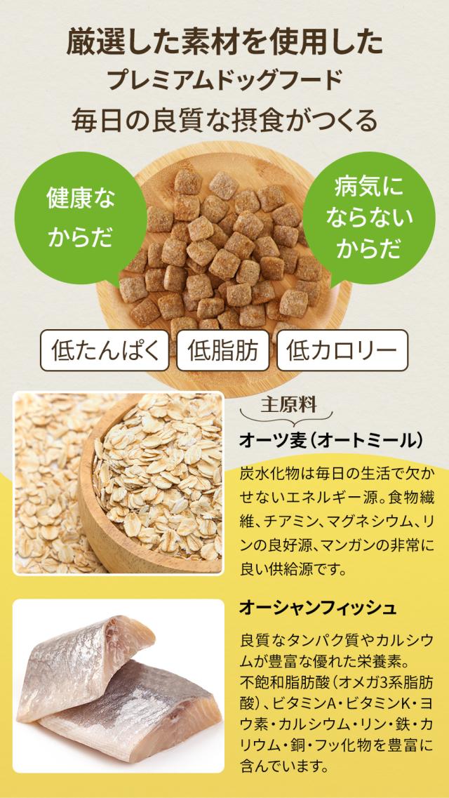 ソリッドゴールド ホリスティックブレンド SOLID GOLD