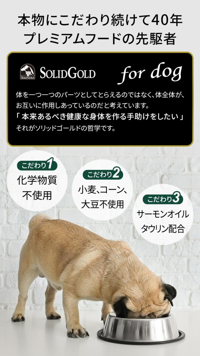 ソリッドゴールド SOLID GOLD