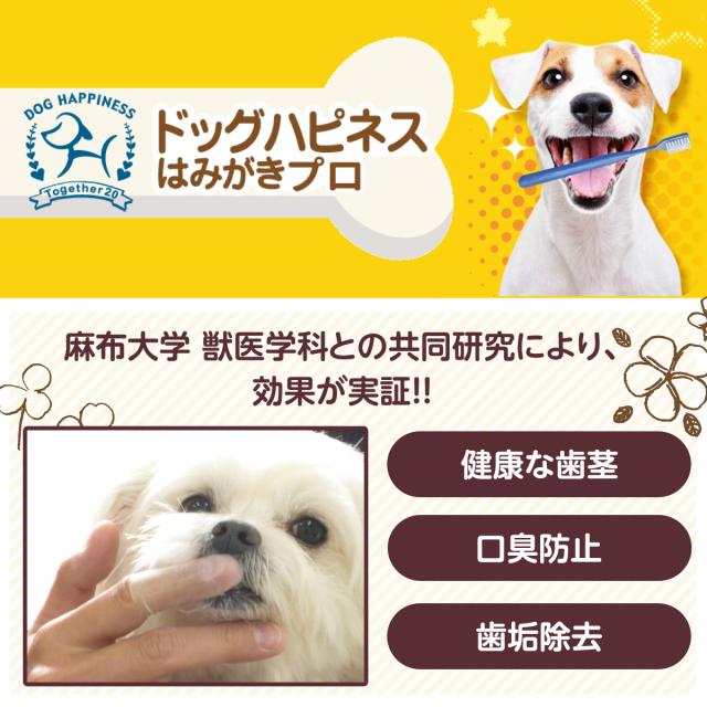 ドッグハピネス はみがきプロ 45g