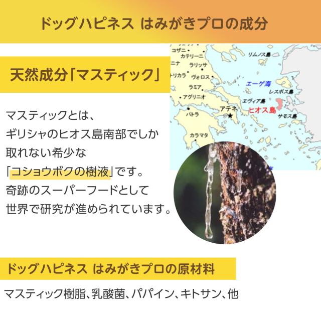 ドッグハピネス はみがきプロ 45g