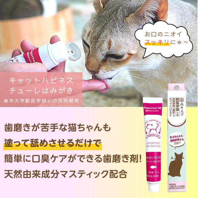 キャットハピネス チューレはみがき 22g