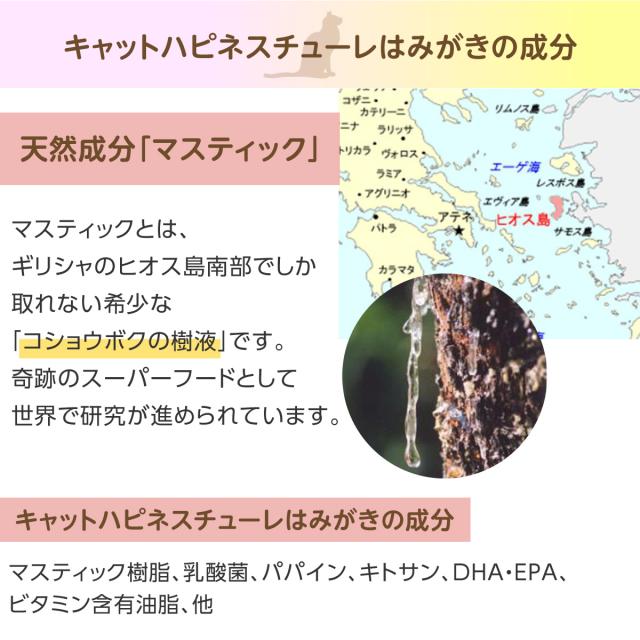 キャットハピネス チューレはみがき 22g