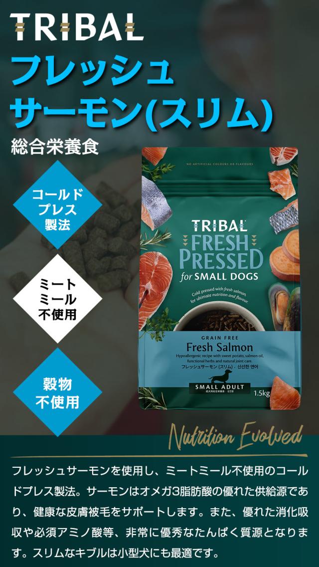 トライバル フレッシュサーモン
