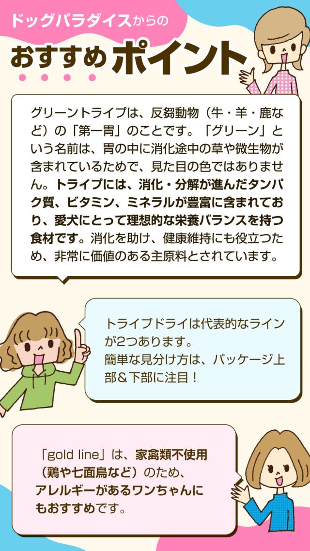 おすすめポイント